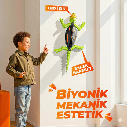 TOYZZERY - WAII PLAYGROUND Kertenkele